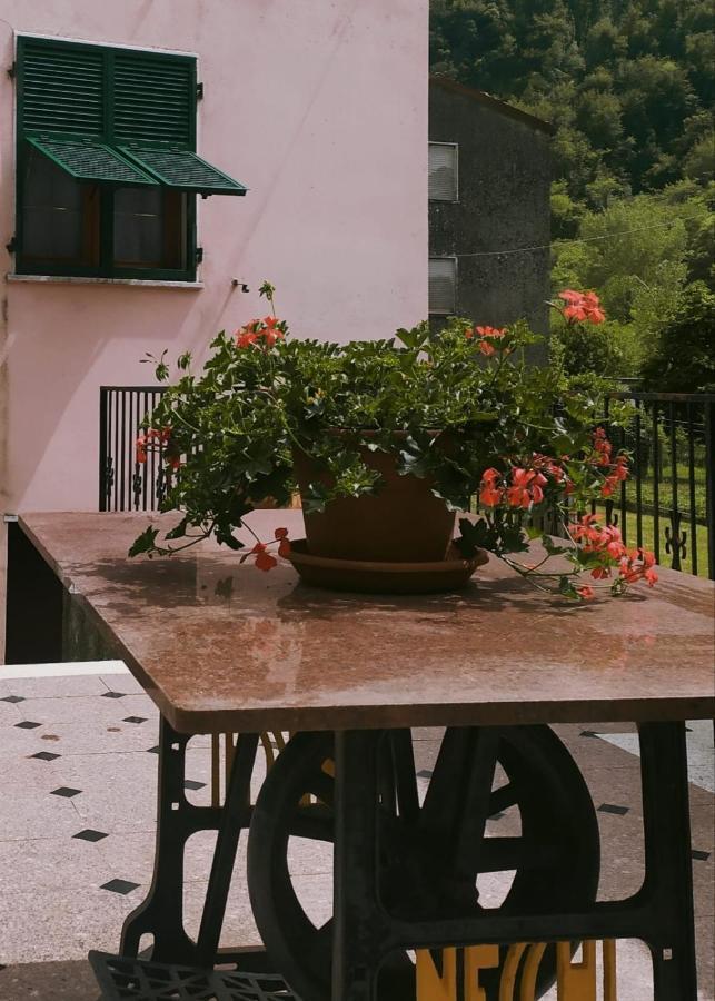 Casa Silvana Equi Terme Extérieur photo